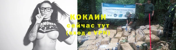 стафф Вяземский