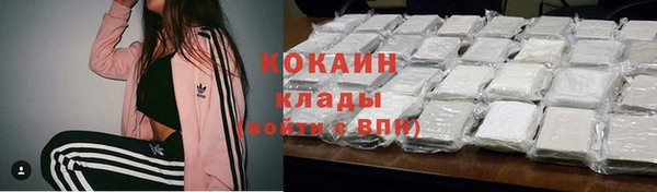 стафф Вяземский