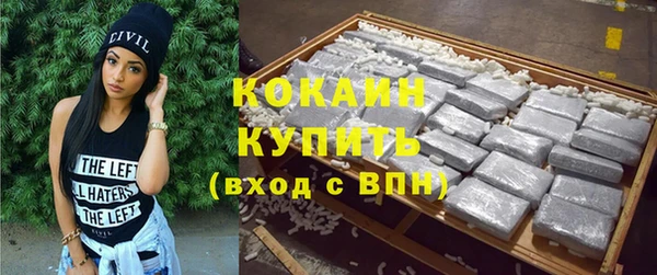 индика Вязники