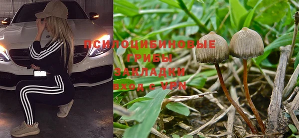 индика Вязники