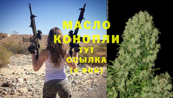 индика Вязники