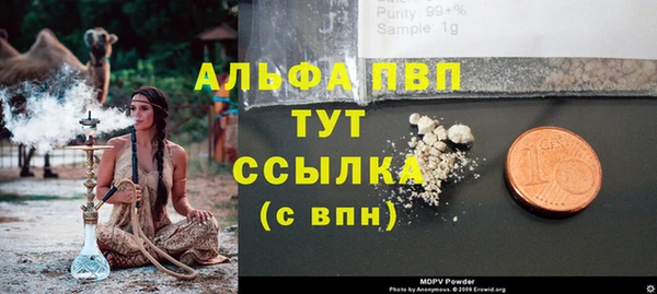 стафф Вяземский