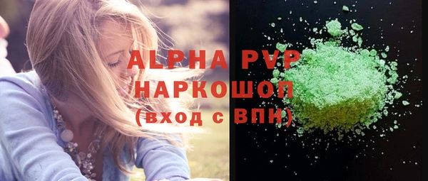 стафф Вяземский