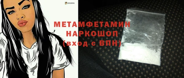 индика Вязники