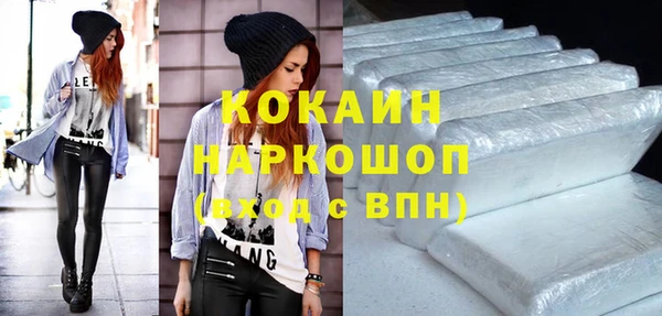 индика Вязники