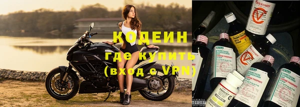 стафф Вяземский