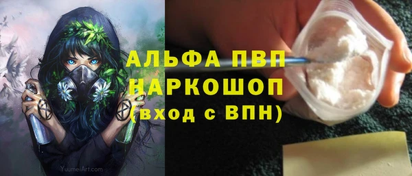 индика Вязники