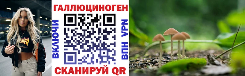 Купить где  Камышин  Галлюциногенные грибы MAGIC MUSHROOMS 